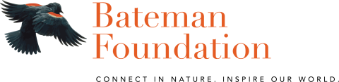 Bateman Foundation